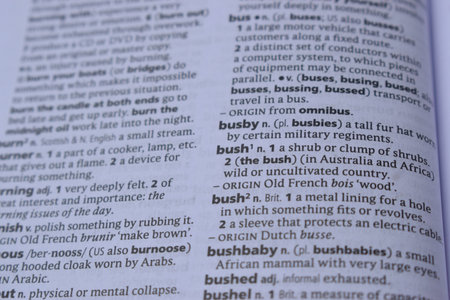 Definition Of English Dictionary Close Up Of Page Print With Word - bushの写真素材