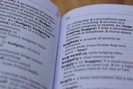 English Dictionary Page Close Up With The Word Of Print -bugbearの写真素材
