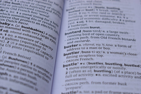English Dictionary Page Print Close Up With The Word Meaning Of -busterの写真素材