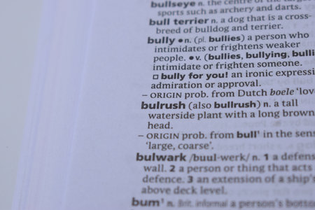 Definition Of English Dictionary Close Up Of Page Print With Word - bulrushの写真素材