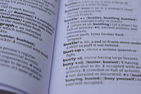 English Dictionary Page Print Close Up With The Word Meaning Of -bustleの写真素材