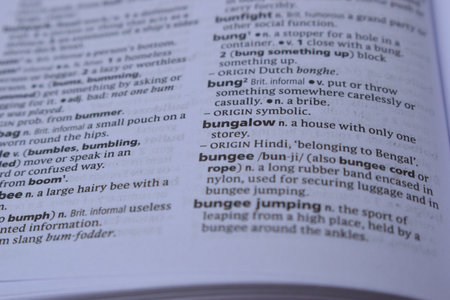 English Dictionary Page Close Up With The Word Of Printの写真素材