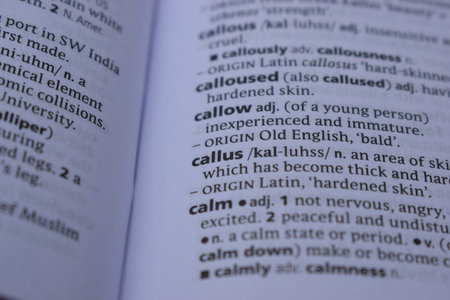 Definition Of English Dictionary Close Up Of Page Print With Word - callus