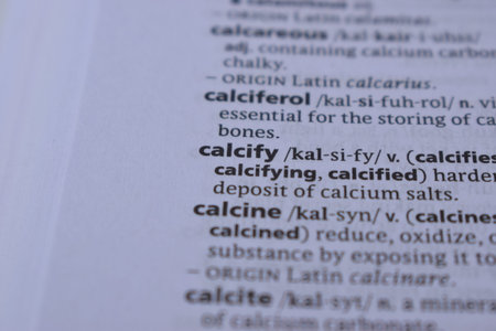 English Dictionary Page Print Close Up With The Word Meaning Of -calcify