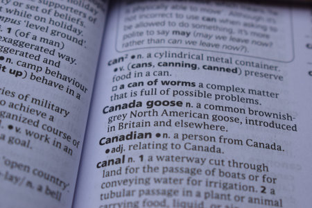 English Dictionary Page Close Up With The Word Of Print