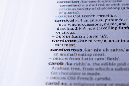Definition Of English Dictionary Close Up Of Page Print With Word - carnivore