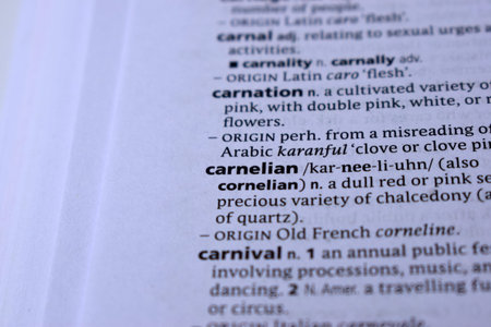Definition Of English Dictionary Close Up Of Page Print With Word