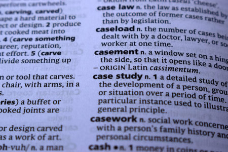 English Dictionary Page Print Close Up With The Word Meaning Of -case study