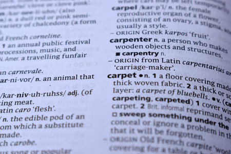 Definition Of English Dictionary Close Up Of Page Print With Word - carpentry