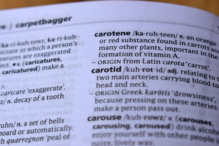 Close Up Of English Definition Dictionary Printed Page Word Of - carotid