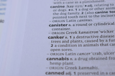 Definition Of English Dictionary Close Up Of Page Print With Word