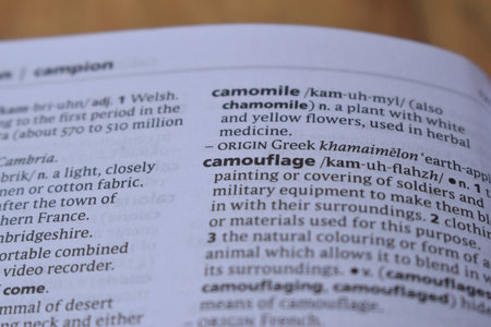 English Dictionary Page Close Up With The Word Of Print - camouflageの写真素材