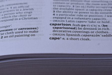 English Dictionary Page Print Close Up With The Word Meaning Of - caparison
