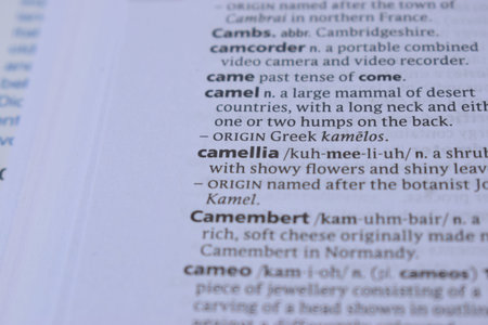 Close Up Of English Definition Dictionary Printed Page Word Of