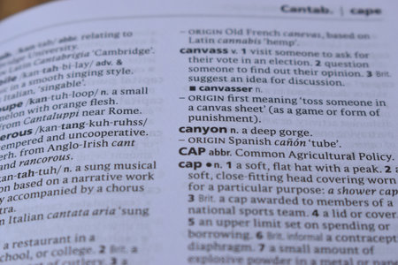 English Dictionary Page Close Up With The Word Of Printの写真素材