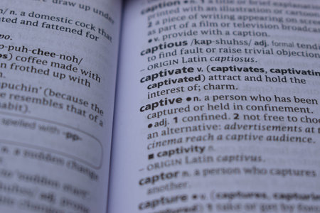 Definition Of English Dictionary Close Up Of Page Print With Word