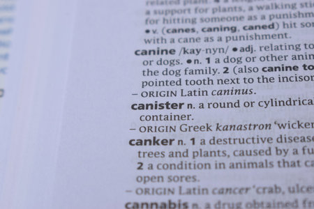 English Dictionary Page Print Close Up With The Word Meaning Of - canister