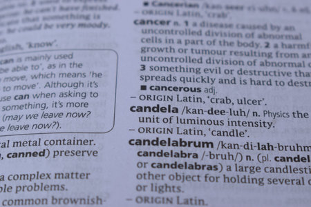 Close Up Of English Definition Dictionary Printed Page Word Of - candela