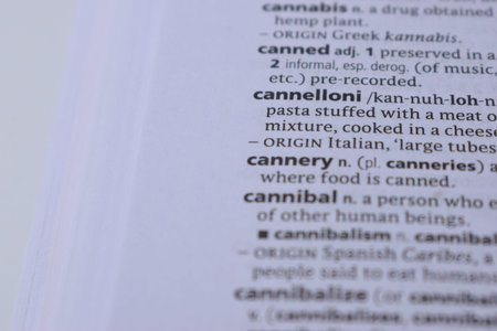 Close Up Of English Definition Dictionary Printed Page Word Of - cannelloni