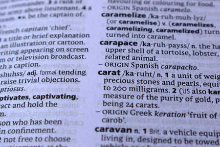 English Dictionary Page Print Close Up With The Word Meaning Of -carat