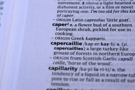 English Dictionary Page Print Close Up With The Word Meaning Of -capercaillieの写真素材