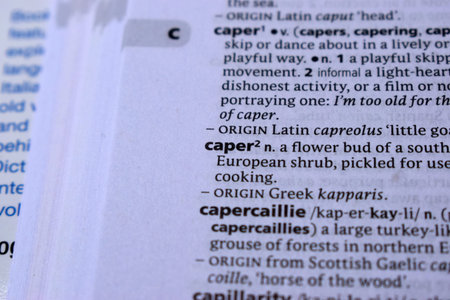 Close Up Of English Definition Dictionary Printed Page Word Of