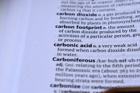 English Dictionary Page Print Close Up With The Word Meaning Of -carbon footprint