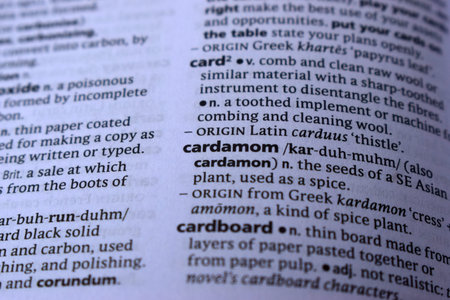 English Dictionary Page Close Up With The Word Of Print -cardamom