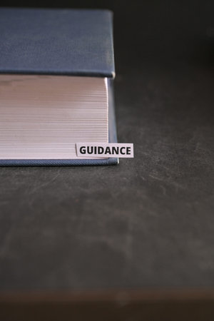 Guidance and Direction Supporting Growth Better Decisions and Future Successs