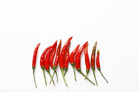 Red Chilli on white backgroundの写真素材