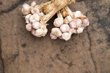 bunch of garlicの写真素材
