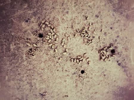 Sand background with vitage toneの素材