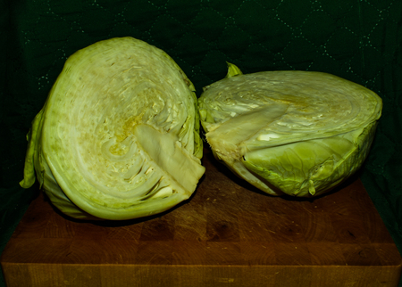 Two pieces of cutted fresh cabbageの写真素材