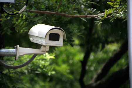 CCTV camera in a park
