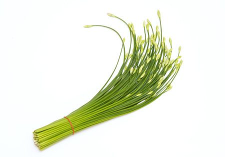 Chinese Chives flower on white background