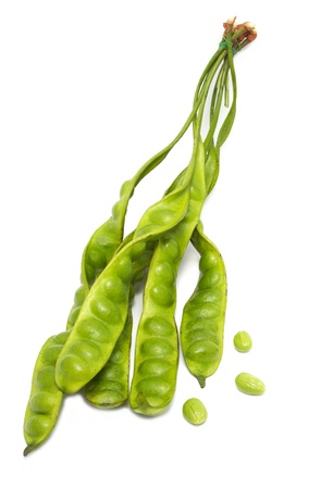 stinking- beans on white backgroundの写真素材