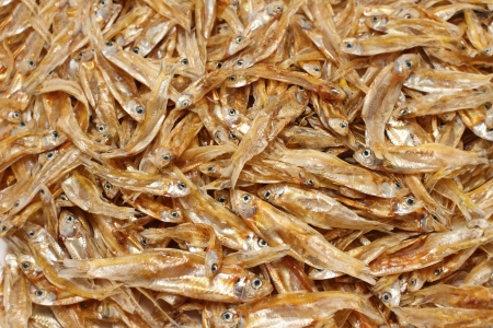 Dried tiny fishの写真素材