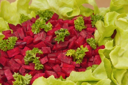 Beetroot  with parsley and green oak salad の写真素材