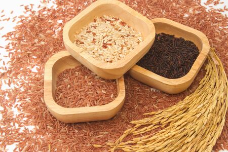 Rice varieties,Grain And Cereal Productsの写真素材
