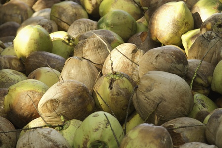 pile of coconutの写真素材