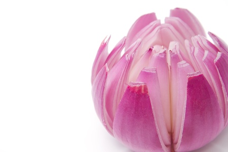 red onion,herb   spiceの写真素材