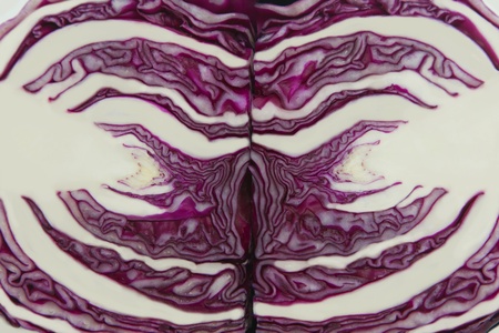 Cross section of Red Cabbage , for background and textureの写真素材