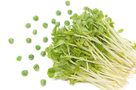 Snow Pea Sprouts  with green pea