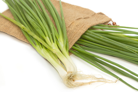 Green Onion ,fresh herbs and spices  on white backgroundの写真素材