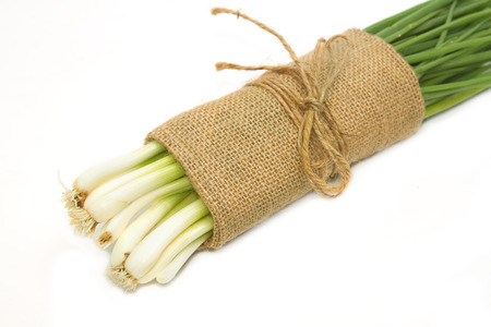 Green Onion ,fresh herbs and spices  on white backgroundの写真素材