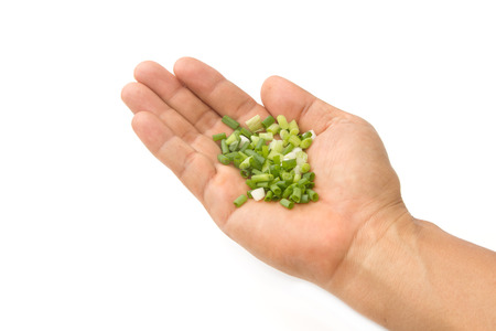chopped green onions in hand,herb and spiceの写真素材