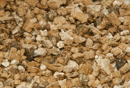 Vermiculite used in potting plantsの写真素材