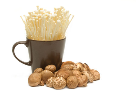 Mushroom, Golden Needle Mushroom and  shitake mushroom