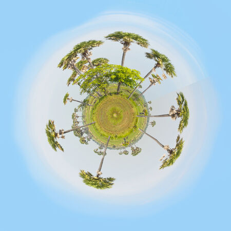 little planet with sugar palm treesの写真素材