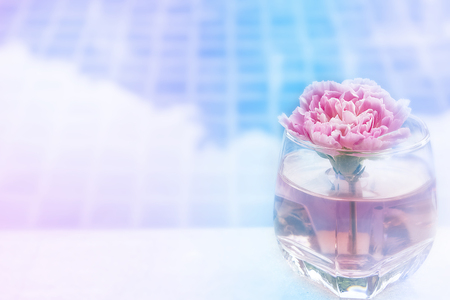 Carnation flower in glass on tableの写真素材